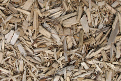 biomass boilers Ardnagoine