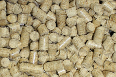 Ardnagoine biomass boiler costs